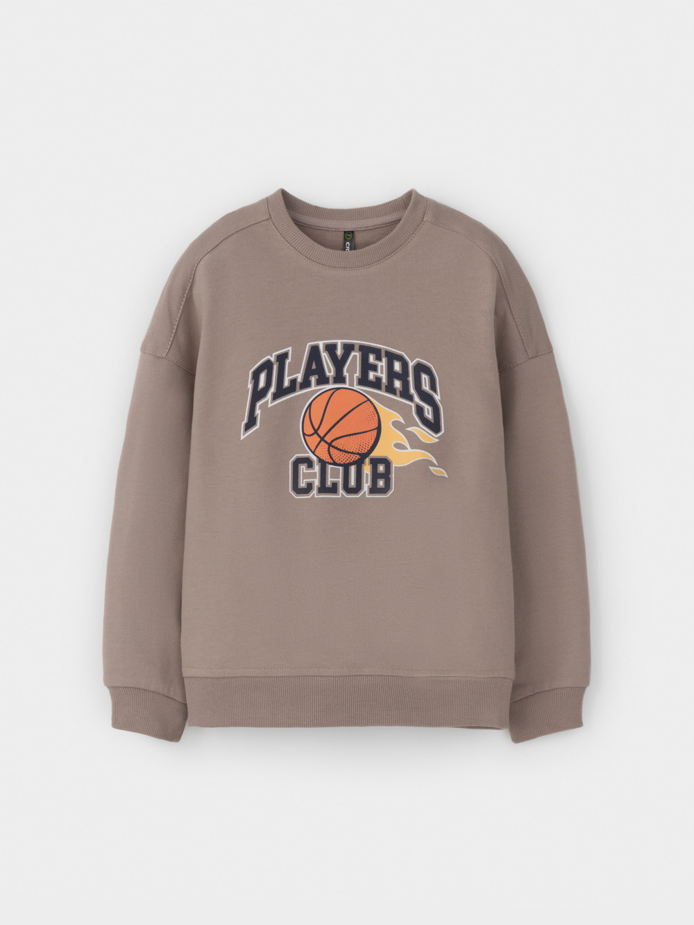 Свитшоты для мальчика, артикул: КР 302392-1, цвет: коричневый