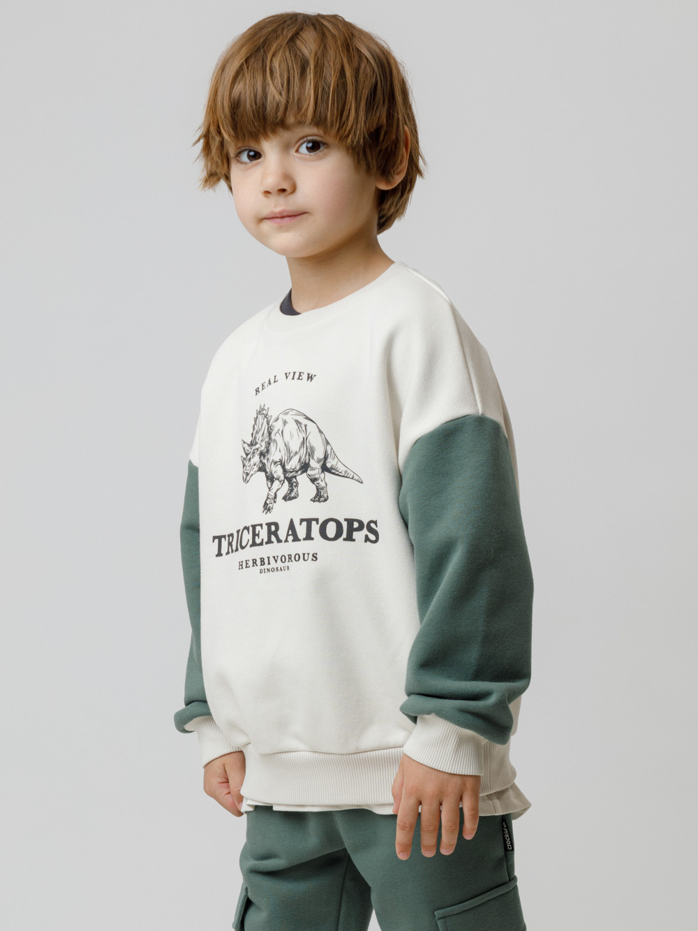 Свитшоты для мальчика, артикул: КР 302851, цвет: бежевый