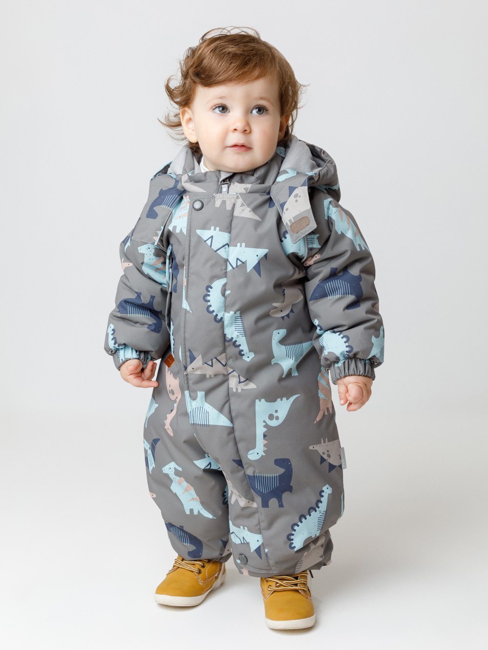 Комбинезоны утепленные для мальчика, артикул: ВК 60032/н/62 Ал, цвет: коричневый