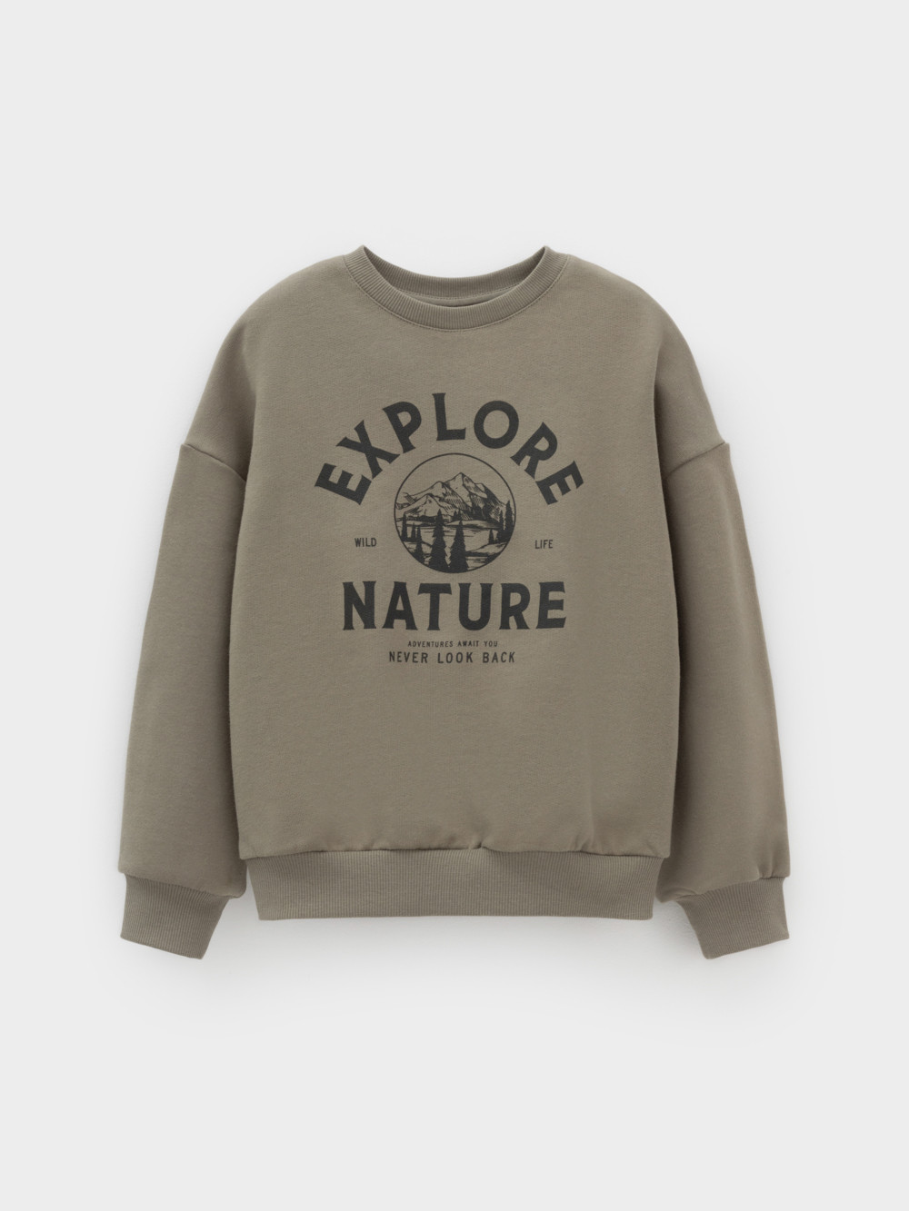 Свитшоты для мальчика, артикул: КР 302782, цвет: хаки, фото 2