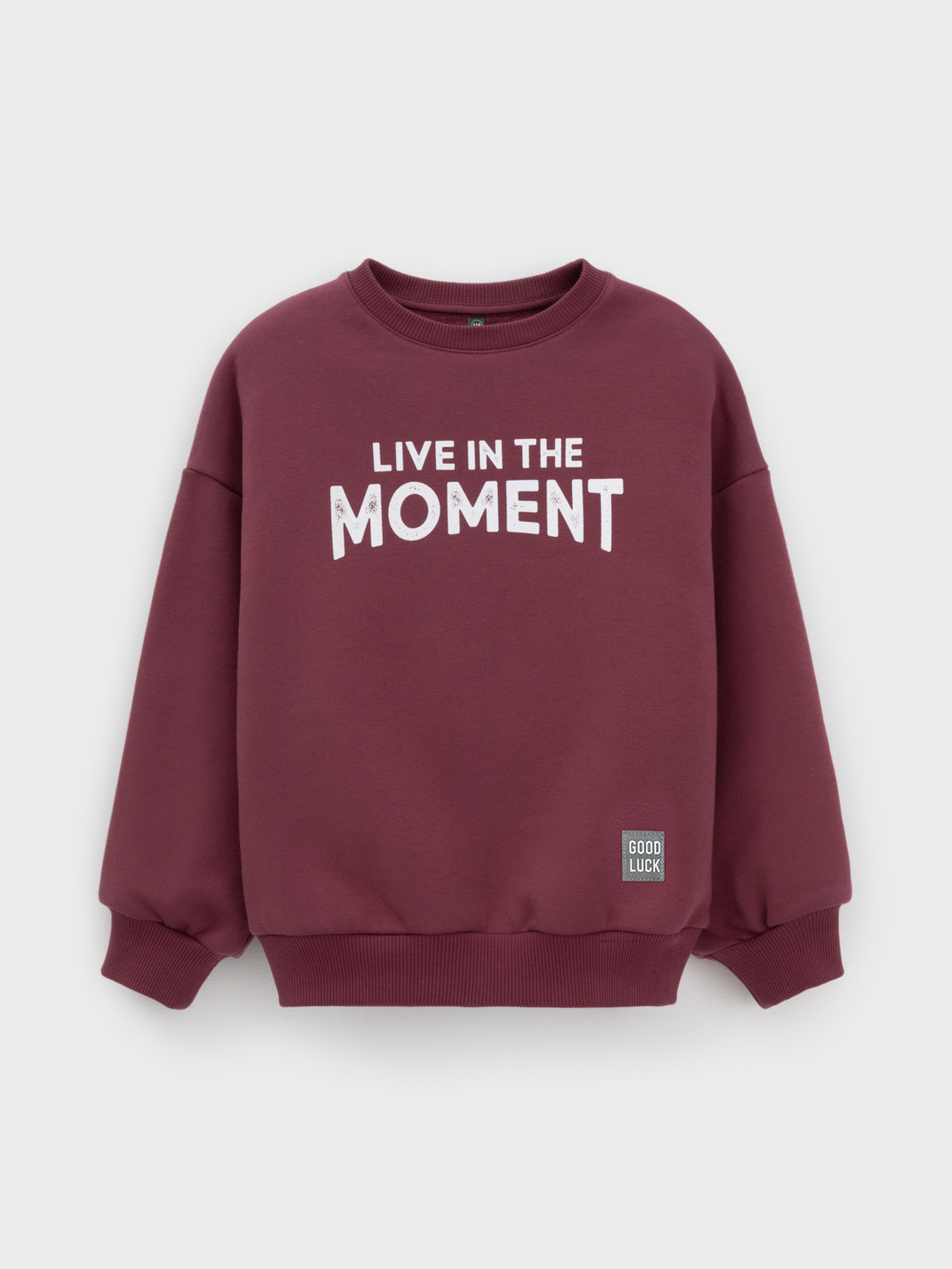 Свитшоты для мальчика, артикул: КР 302802, цвет: коричневый, фото 2