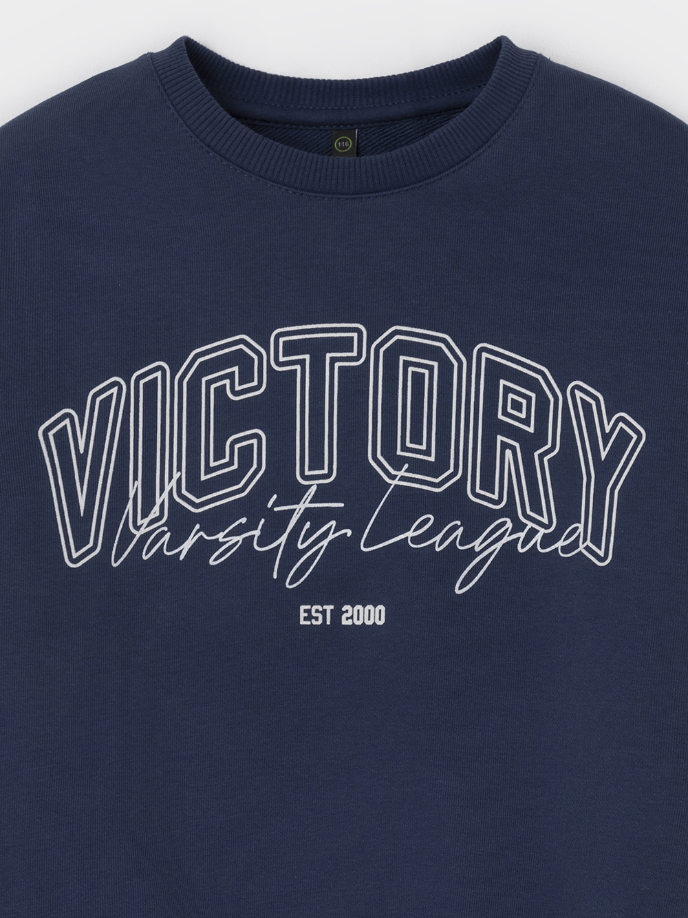 Свитшоты для мальчика, артикул: КР 303046-1, цвет: синий, фото 2