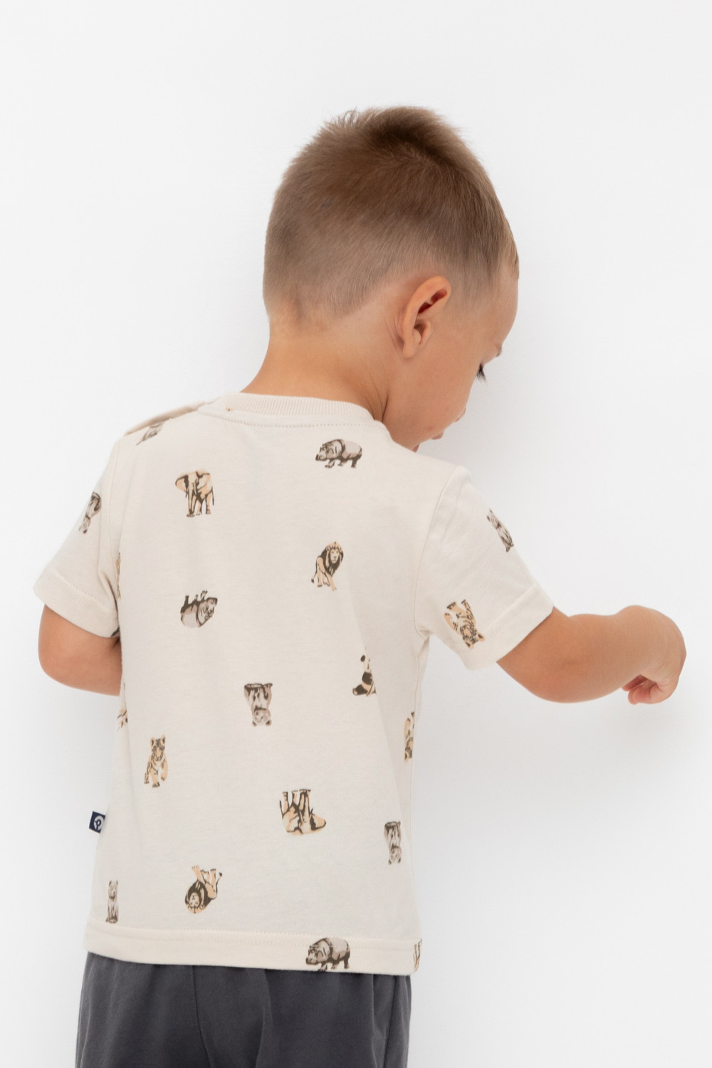 Футболка для мальчика, артикул: КР 302537, цвет: бежевый, фото 4