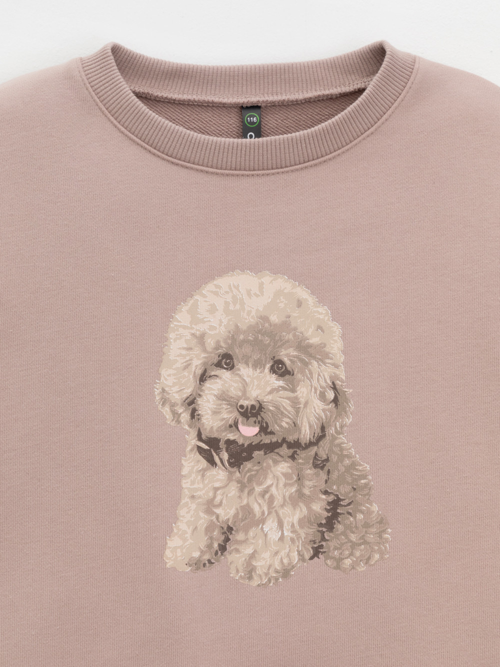 Свитшоты для девочки, артикул: КР 302816, цвет: кофейный, фото 5