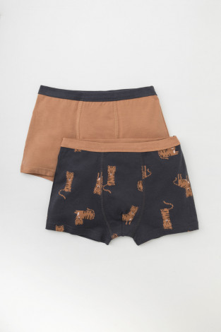 Трусы для мальчика, артикул: К 1980-2уп, цвет: коричневый