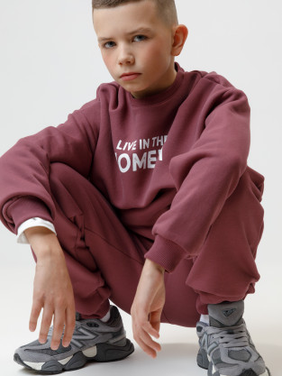 Свитшоты для мальчика, артикул: КР 302802, цвет: коричневый