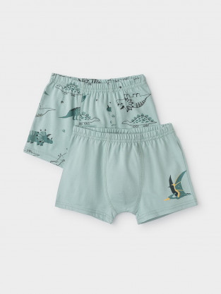 Трусы для мальчика, артикул: К 1930-2уп, цвет: голубой