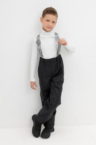 Брюки утепленные, артикул: ВК 46017/24/1 ГР, цвет: черный