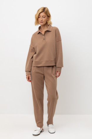 Брюки женские для мам, артикул: ЕВТ 4133, цвет: коричневый