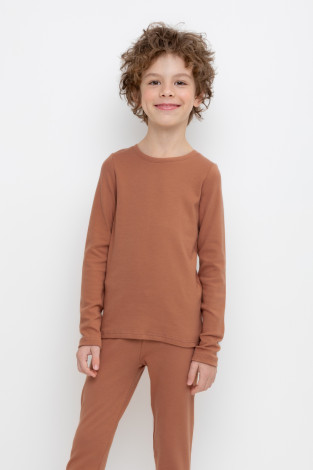 Кальсоны, комплекты, артикул: К 302154-1, цвет: коричневый