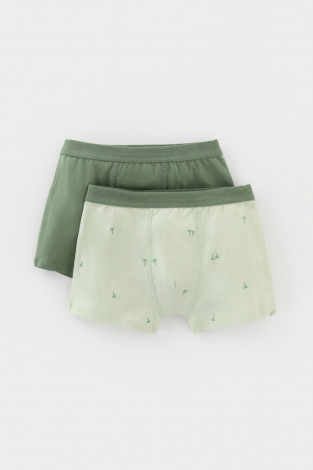 Трусы для мальчика, артикул: К 1980-2уп, цвет: зеленый