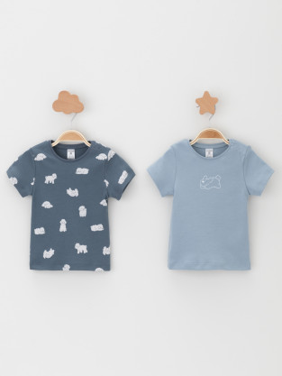 Футболка для новорожденных, артикул: К 301156-2уп, цвет: голубой