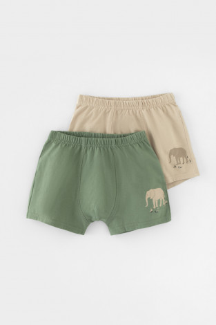 Трусы для мальчика, артикул: К 1912-2уп, цвет: зеленый