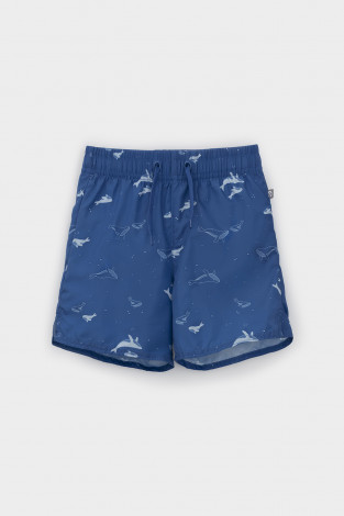 Плавки для мальчика, артикул: ТК 19012/4н ФВ, цвет: синий