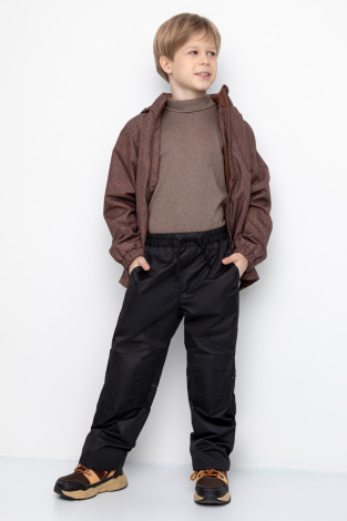 Брюки утепленные, артикул: ВК 46018/23/1 УЗГ, цвет: черный