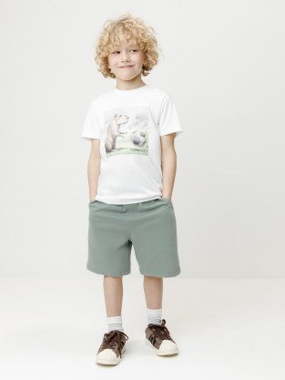 Шорты для мальчика, артикул: КР 400911, цвет: хаки