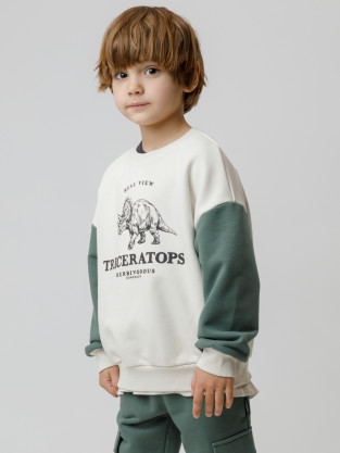 Свитшоты для мальчика, артикул: КР 302851, цвет: бежевый