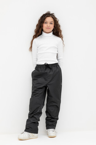 Брюки утепленные, артикул: ВК 46018/24/1 УЗГ, цвет: черный