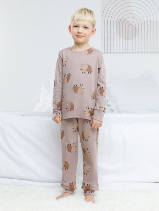 Пижама для мальчика, артикул: К 1552, цвет: кофейный