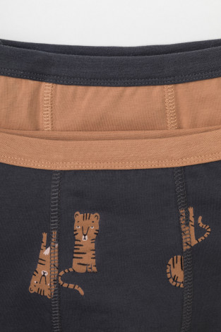 Трусы для мальчика, артикул: К 1980-2уп, цвет: коричневый - 2 фото