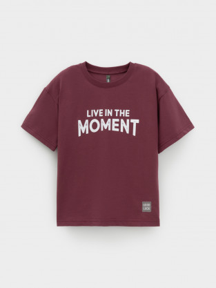 Футболка для мальчика, артикул: КР 302913, цвет: коричневый - 2 фото