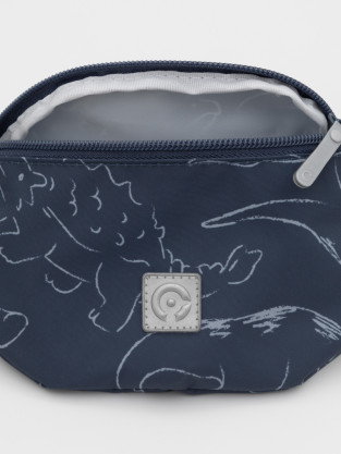 Рюкзаки для мальчика, артикул: АКС 2009/12 ГР, цвет: синий - 2 фото