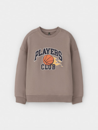 Свитшоты для мальчика, артикул: КР 302392, цвет: коричневый - 2 фото