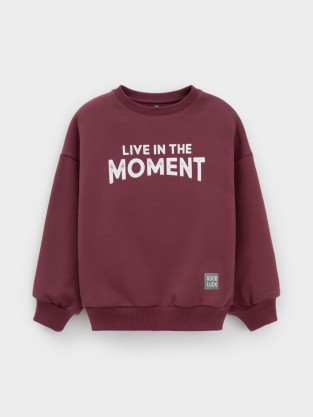 Свитшоты для мальчика, артикул: КР 302802, цвет: коричневый - 2 фото