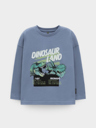 Лонгсливы для мальчика, артикул: КР 302256, цвет: синий - 2 фото