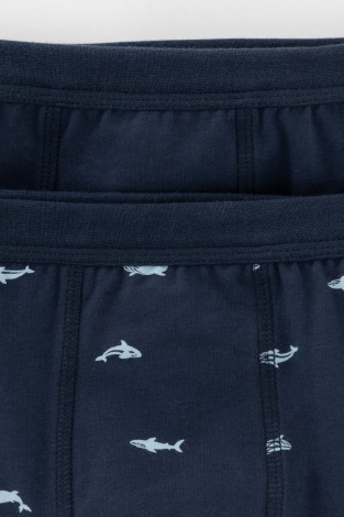 Трусы для мальчика, артикул: К 1980-2уп, цвет: синий - 2 фото